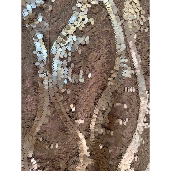 Adrianna Papell Sequin & Lace Mini sleeveless sexy dress in taupe size 8 - Picture 14 of 14